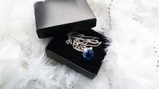 jewelry-necklace-blue-crayfish-733665.jpg