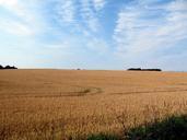 Fields-in-MecklenburgVorpommern-with-dramatic-sky-and-clouds.jpg