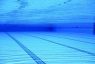 swimming-pool-water-blue-pool-504780.jpg