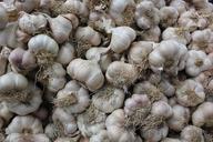 garlic-texture-background-natural-1065453.jpg