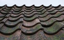 roof-tile-roofing-tile-simple-domed-815759.jpg