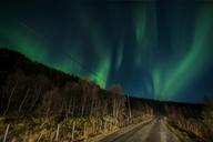 aurora-borealis-lofoten-norway-1018658.jpg