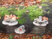 tree-fungi-autumn-forest-335418.jpg