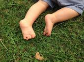 feet-baby-nature-990164.jpg