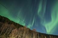 aurora-borealis-lofoten-norway-1018659.jpg