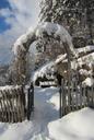 archway-winter-input-garden-fence-240412.jpg