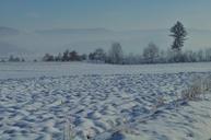 winter-landscape-snow-frozen-415499.jpg