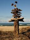 beach-driftwood-seascape-art-1366573.jpg