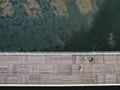 boardwalk-jetty-pier-bridge-above-690515.jpg