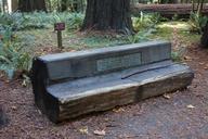 Bernard Baruch memorial - Humboldt Redwoods State Park - DSC02480.JPG