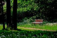 bench-nature-trees-leaves-forest-573633.jpg