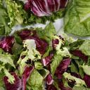 salad-lettuce-vegetable-649524.jpg