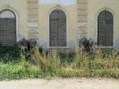 shutter-abandoned-house-old-farm-192264.jpg