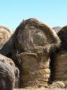 haystacks-montana-hay-farm-332925.jpg