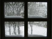 window-snow-lattice-windows-winter-564287.jpg