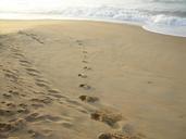 footprints-beach-sand-ocean-coast-481356.jpg