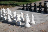 chess-chess-board-chess-pieces-195748.jpg