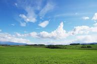 earth-natural-biei-meadow-green-1268434.jpg