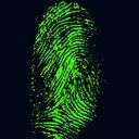 fingerprint-daktylogramm-papillary-257038.svg