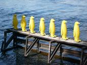 prague-penguins-sculpture-plastic-951640.jpg