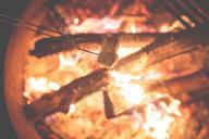 campfire-marshmallows-fire-camp-1031141.jpg