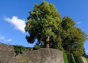 trees-deciduous-trees-sky-autumn-1066585.jpg