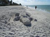 alligator-beach-sand-sculpture-113551.jpg