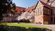 Springtime_in_the_town_hall_garden_Luneburg,_Frühling_im_Rathausgarten_Lüneburg.jpg