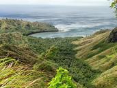 Forest-And-Ocean-Cetti-Bay-Guam.jpg