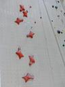 high-speed-route-speed-climbing-101504.jpg