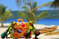 holiday-luggage-palm-trees-beach-1172357.jpg