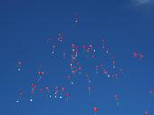 balloons-fly-wedding-693788.jpg