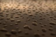 water-drops-droplets-rain-rainy-384595.jpg