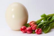 egg-spring-fr%C3%BChlingsanfang-644431.jpg