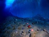 underwater-New-Harbor-McMurdo-Sound.jpg