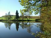 pond-water-mirroring-nature-idyll-504441.jpg