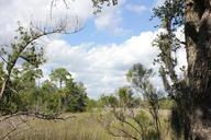 nature-marsh-clouds-environment-597767.jpg