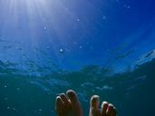 underwater-feet-water-sunlight-1081849.jpg