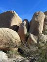 joshua-tree-national-park-california-5103.jpg