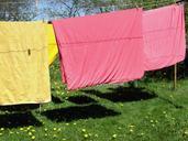 clothes-line-laundry-meadow-summer-421562.jpg