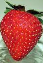 strawberry-fresh-red-tasty-leaves-427561.jpg