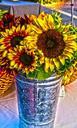 sunflowers-flowers-summer-yellow-952279.jpg