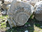 fossil-nature-park-rocks-1619716.jpg