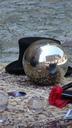 metallic-ball-approached-hat-142400.jpg