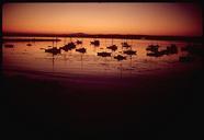 THE_WATERFRONT_AT_SUNSET_-_NARA_-_543119.jpg