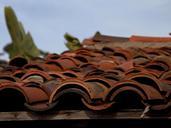 tiles-roofing-clay-terracotta-roof-387283.jpg