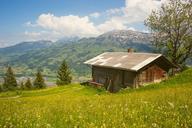 cabin-rustic-alps-cottage-mountain-918914.jpg