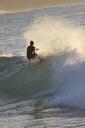 surfing-surf-ocean-spray-hawaii-1710896.jpg