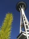 seattle-space-needle-landmark-526281.jpg