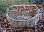 basket-wicker-basket-1055134.jpg